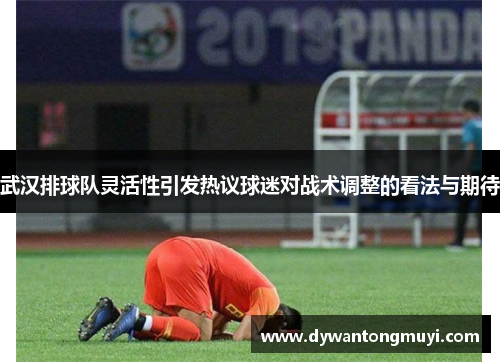 武汉排球队灵活性引发热议球迷对战术调整的看法与期待