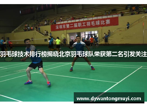 羽毛球技术排行榜揭晓北京羽毛球队荣获第二名引发关注