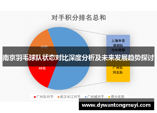 南京羽毛球队状态对比深度分析及未来发展趋势探讨