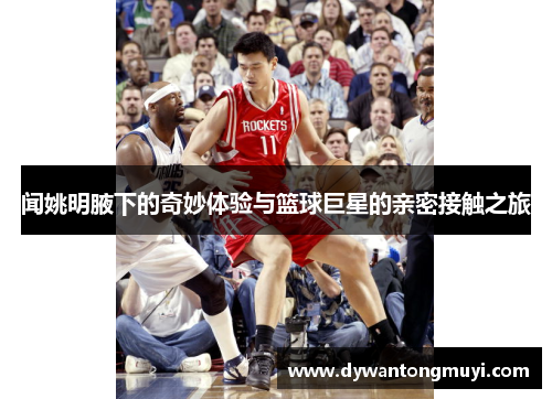 闻姚明腋下的奇妙体验与篮球巨星的亲密接触之旅